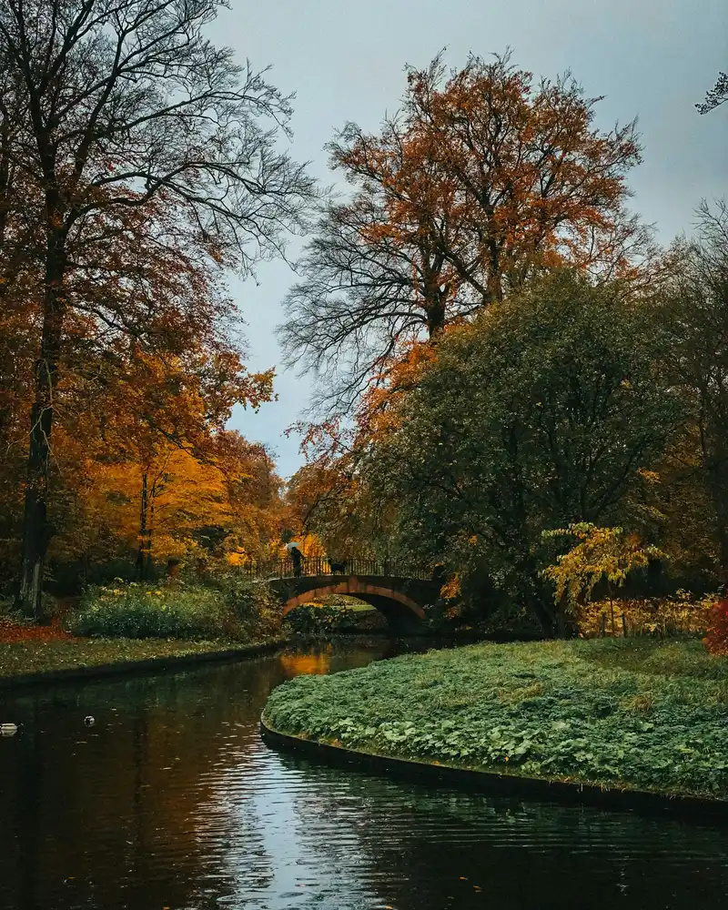 Park på Frederiksberg i efterårsfarver med kanalen og en stenbro